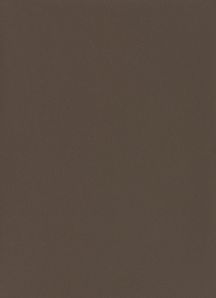 RENOLIT EXOFOL PX SEPIA BROWN 8014 ULTI-MATT 